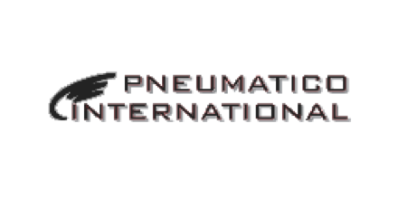 logo společnosti pneumatico international